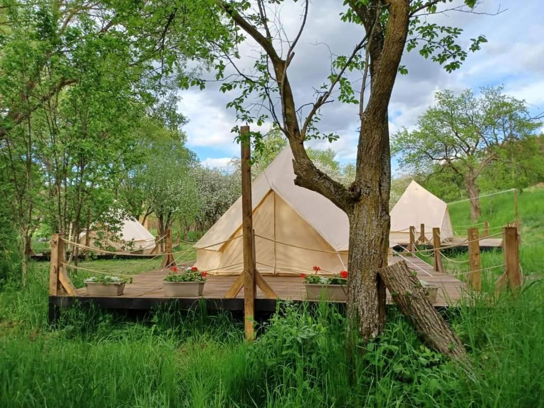 My Lake Glamping Dalnic Esterno foto