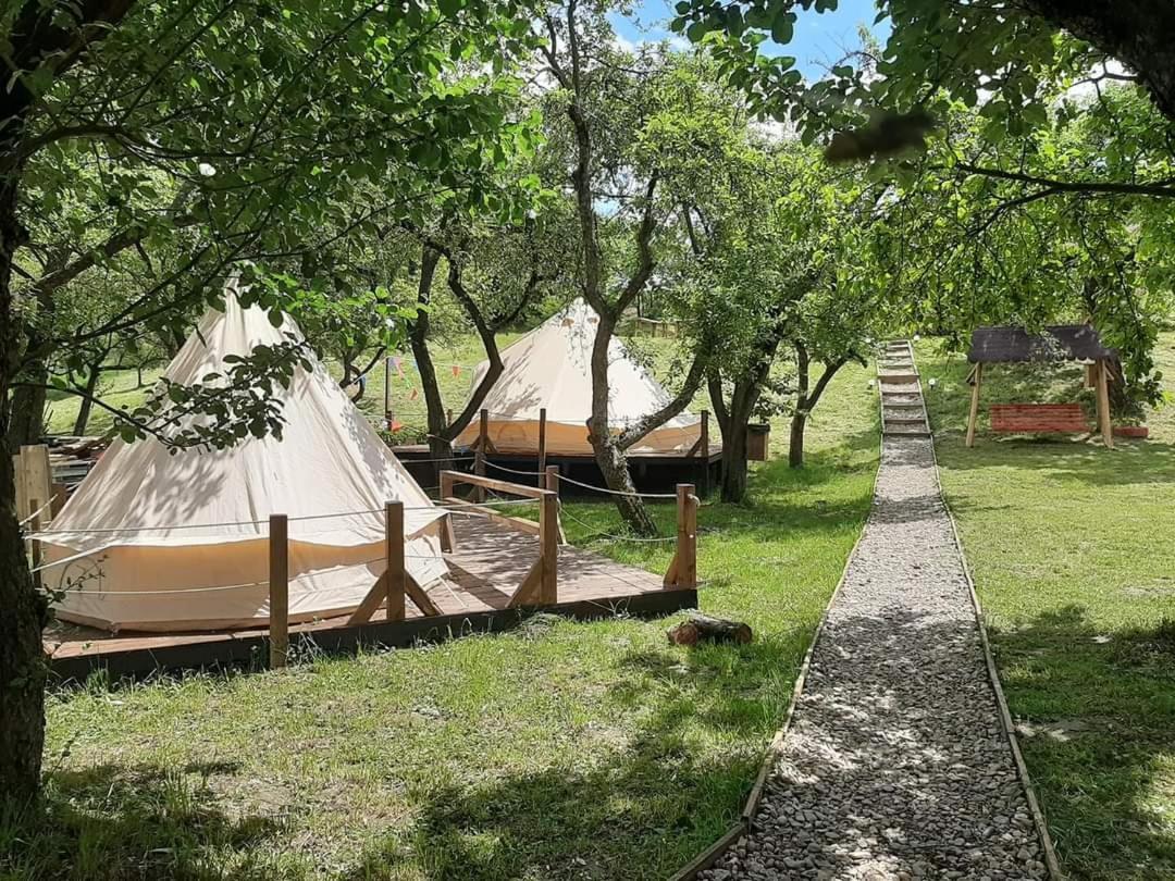 My Lake Glamping Dalnic Esterno foto