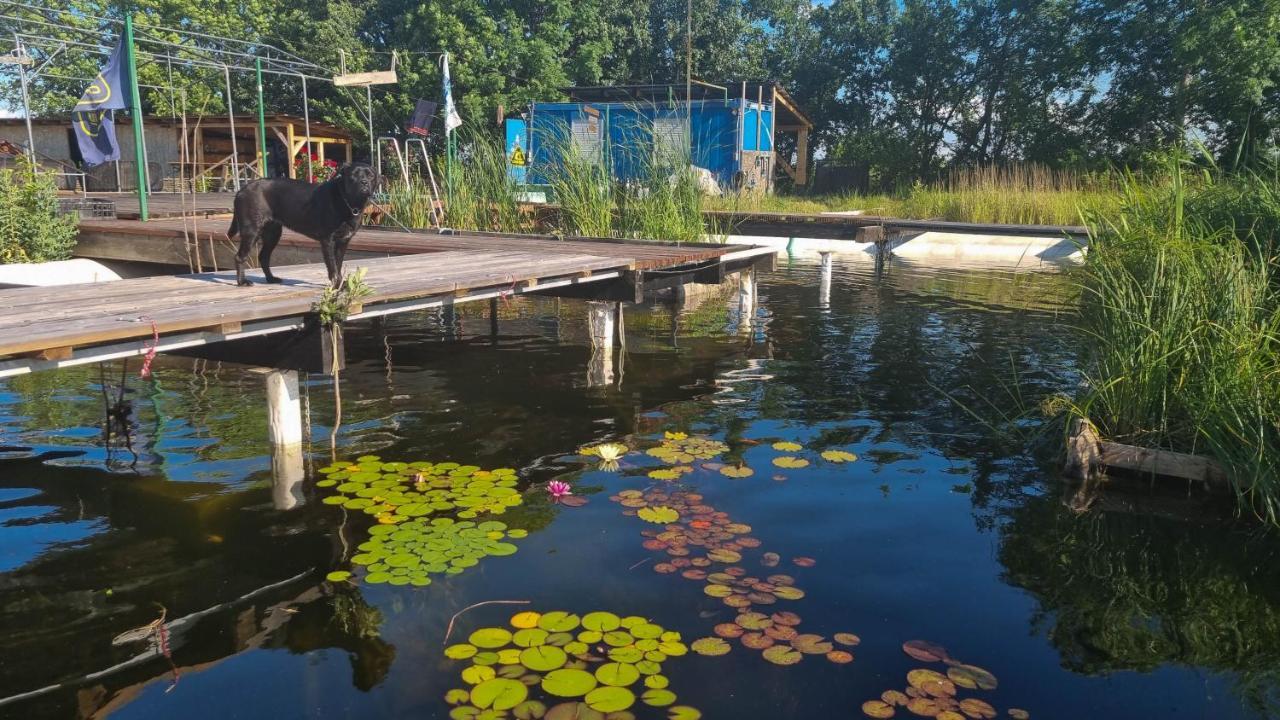 My Lake Glamping Dalnic Esterno foto