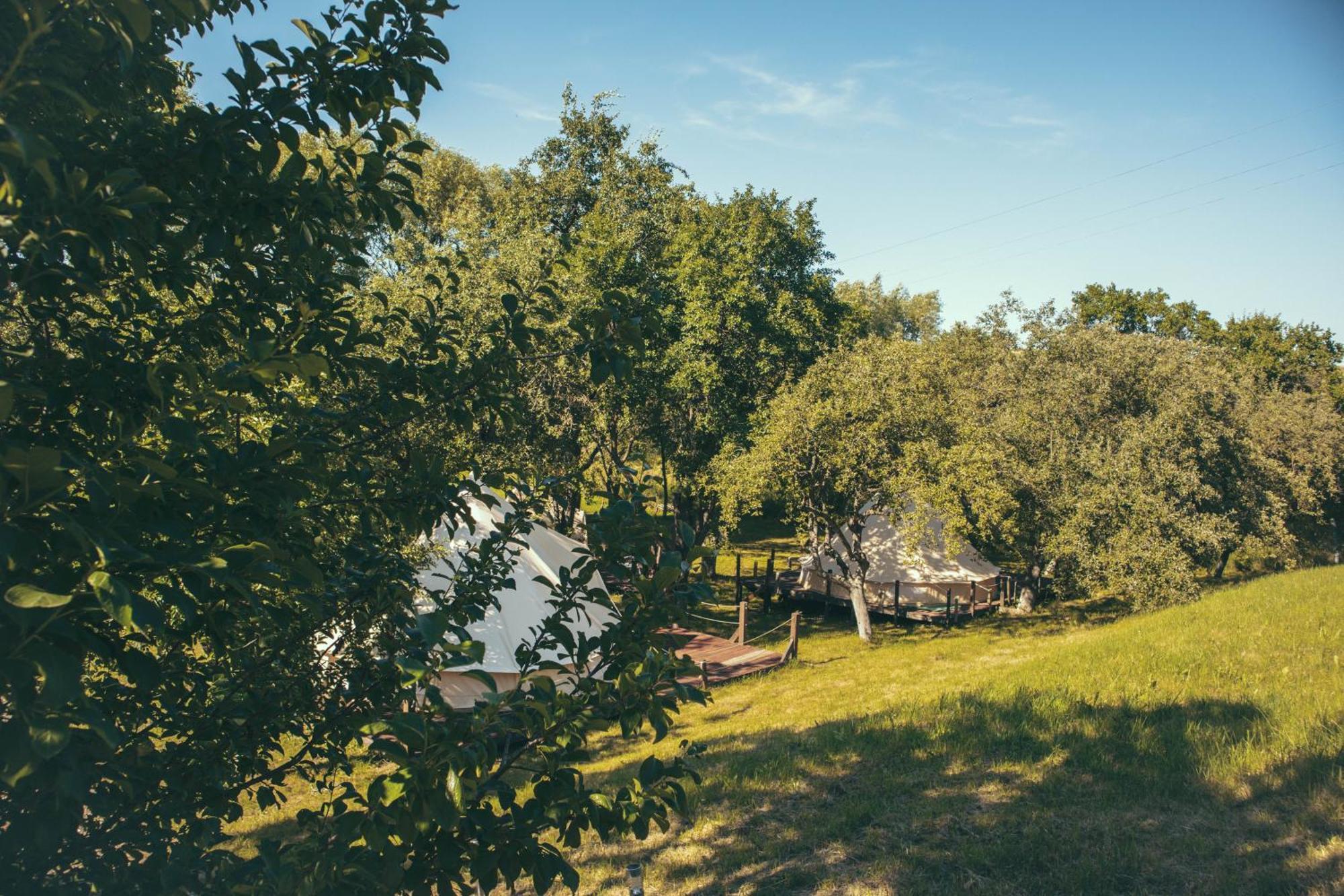 My Lake Glamping Dalnic Esterno foto