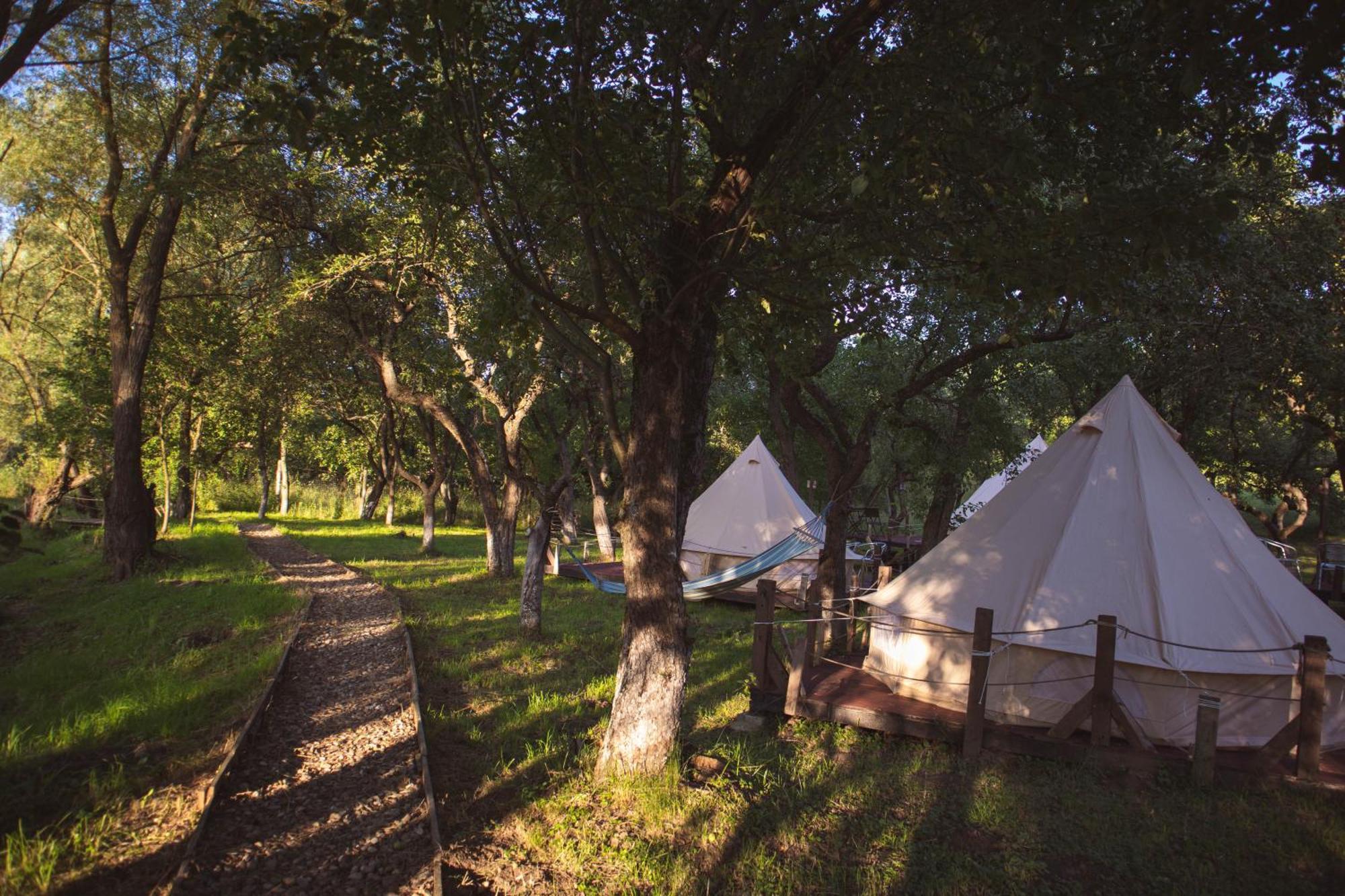 My Lake Glamping Dalnic Esterno foto