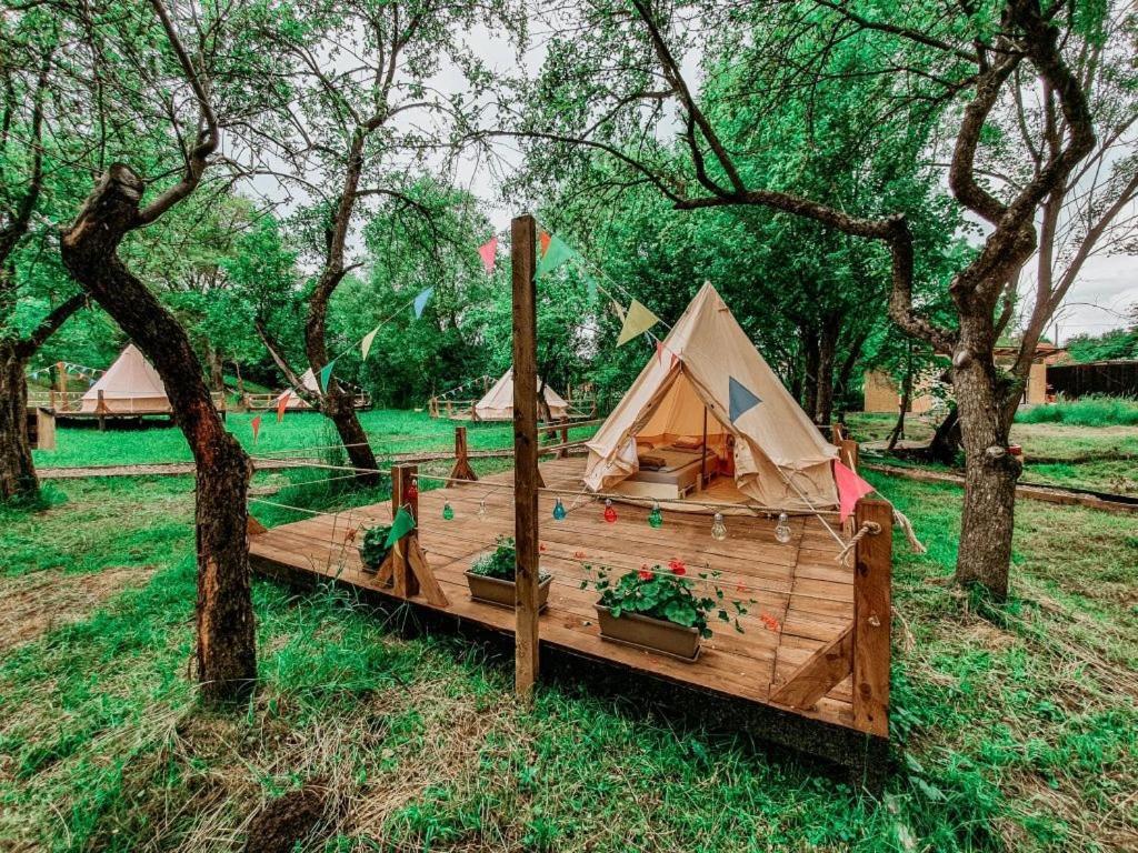 My Lake Glamping Dalnic Esterno foto